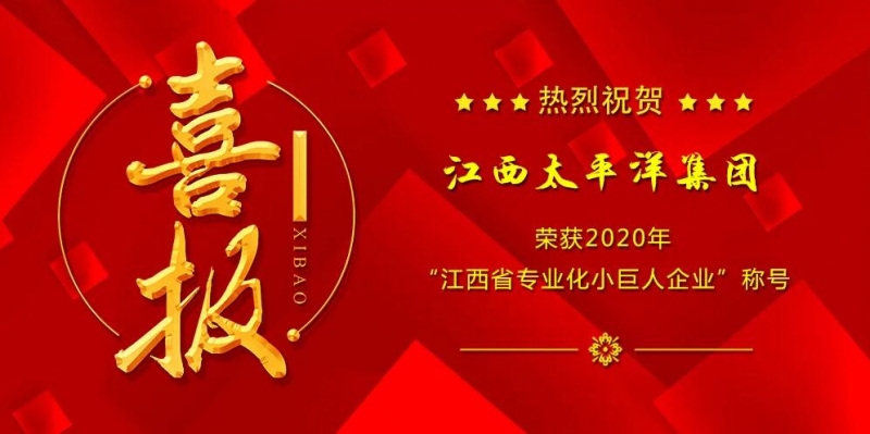 澳门威泥斯人8016被认定为“2020年江西省专业化小巨人企业”